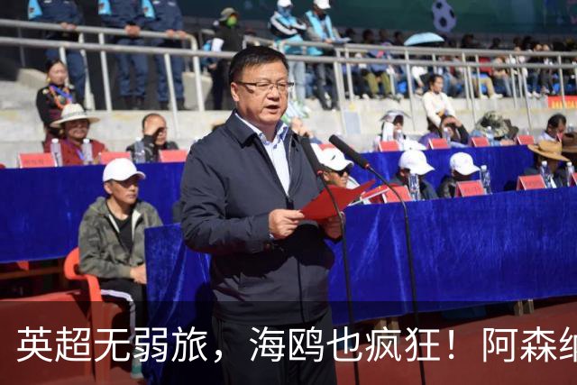 英超无弱旅，海鸥也疯狂！阿森纳3球惨败，拉亚成了远射背景板